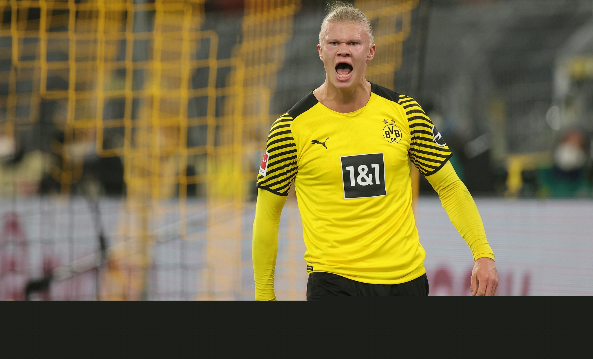 加拿大10吨啤酒项目